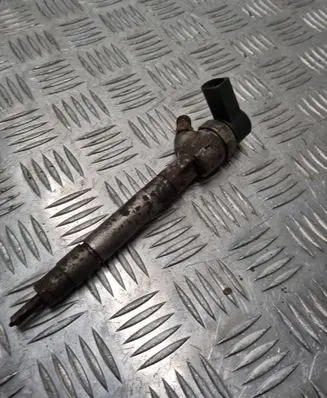 Mercedes-Benz E W211 Fuel injector A6130700587 0445110090