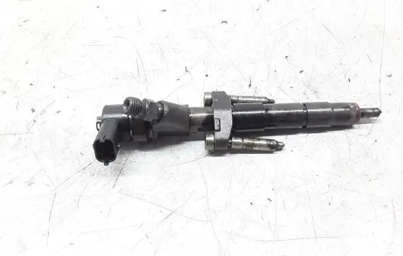 Renault Espace - Grand espace IV Fuel injector 8200084534 0445110084