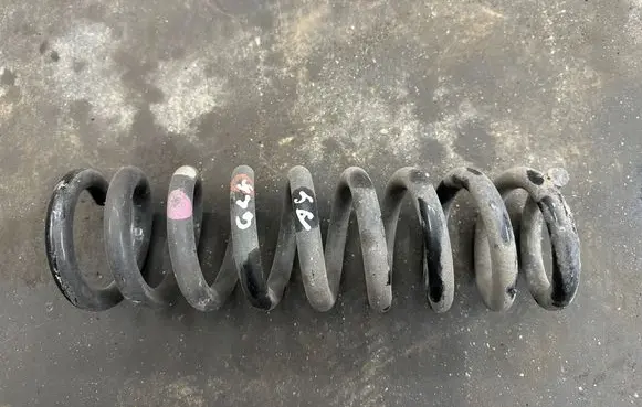 Rear coil spring