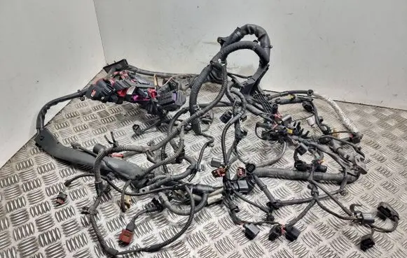 Engine installation wiring loom