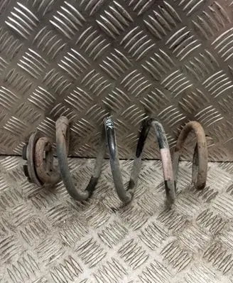 Rear coil spring