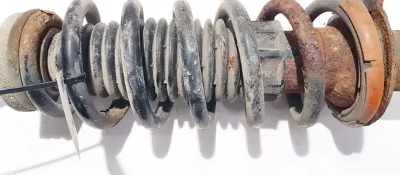 Peugeot 407 Rear coil spring