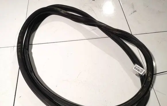 Citroen DS3 Rubber seal front coupe door 