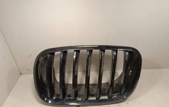 BMW X6 E71 Front grill 51137171395