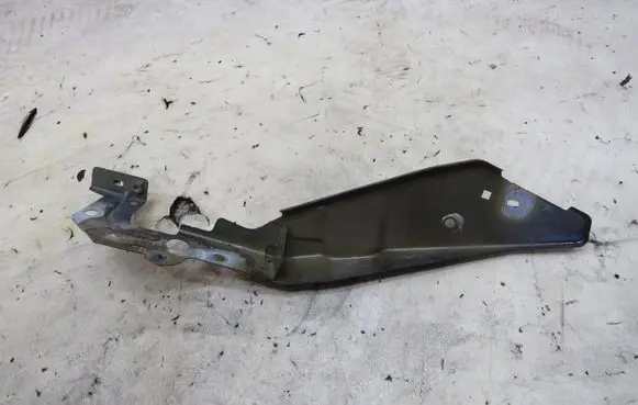 Engine bonnet/hood lock trim molding