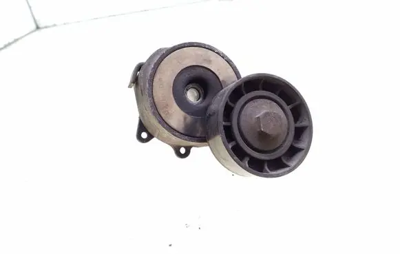 Opel Zafira B Alternator belt tensioner 55190813