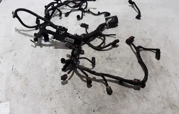 Engine installation wiring loom