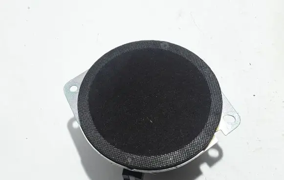 Front door high frequency speaker
