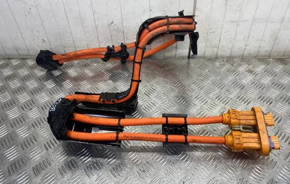 Cupra Born Electric car charging cable 1EA973734AK
