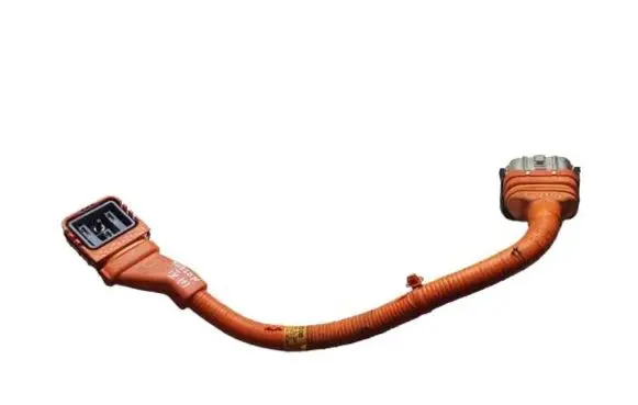 Hyundai Tucson IV NX4 Other wiring loom 91673P0100 91961L5040