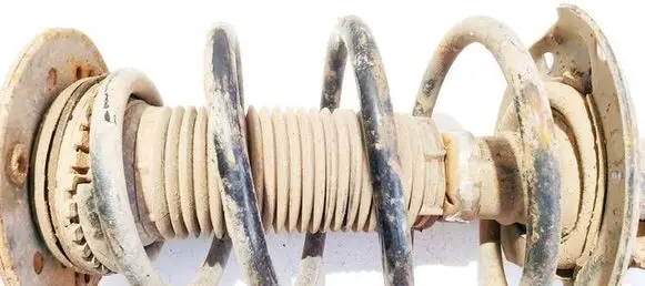Front coil spring