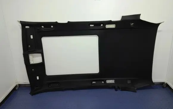 BMW X5M F85 Headlining 
