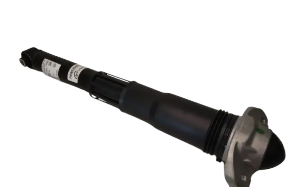 Volkswagen ID.4 Rear shock absorber/damper 1EA512013BD