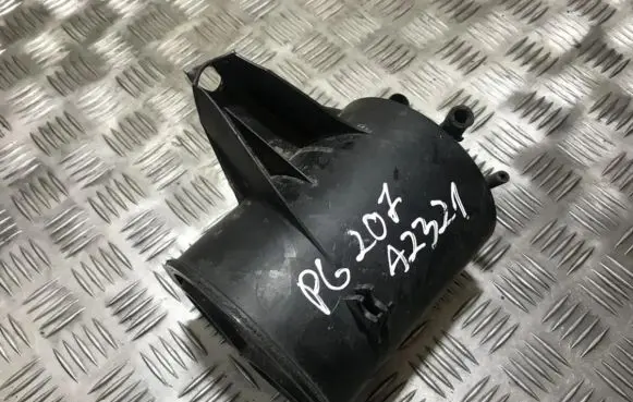 Peugeot 207 Active carbon filter fuel vapour canister 030795