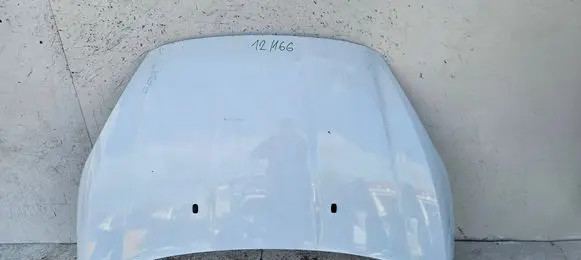 Engine bonnet/hood