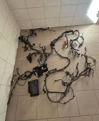 Engine installation wiring loom