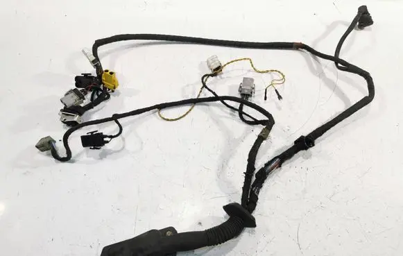 Front door wiring loom