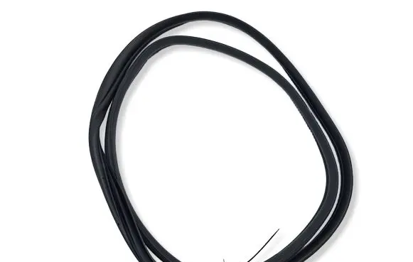 Hyundai Ioniq 5 Rear door rubber seal (on body)