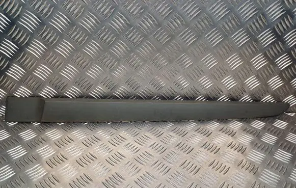 Renault Scenic II - Grand scenic II Rear door trim (molding) 8200558501