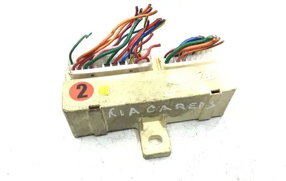 KIA Carens II Fuse module 919402G020 K1989