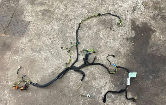 Peugeot Partner Wiring harness PCEGB01520