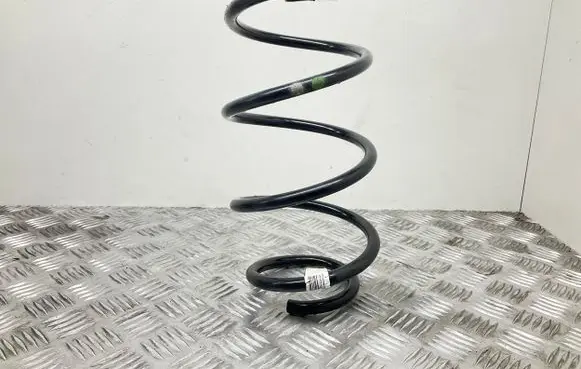 Front coil spring