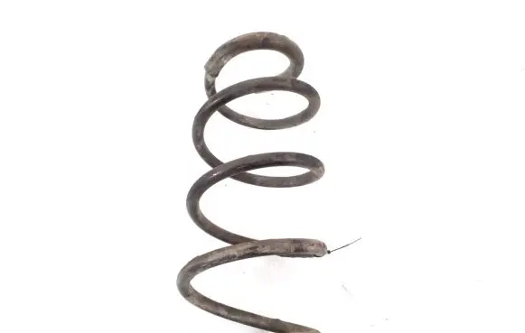 Mercedes-Benz Vito Viano W639 Front coil spring A6393211904