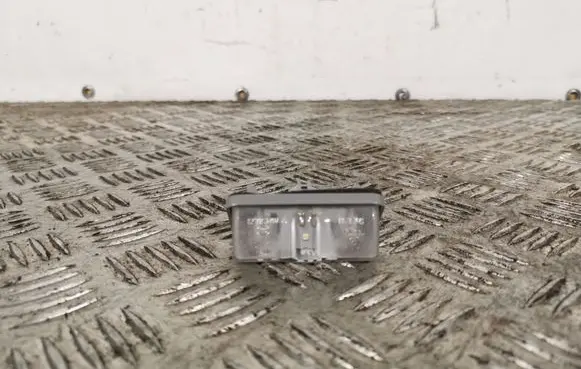 Toyota RAV 4 (XA50) Number plate light 13915