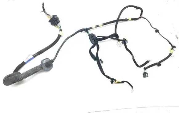 Front door wiring loom