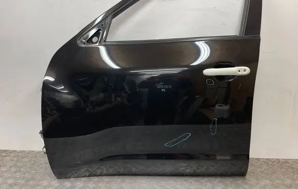 Nissan Juke I F15 Front door 
