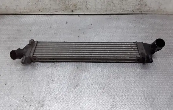 Dacia Logan I Intercooler radiator 8200409045A