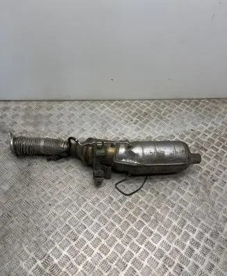 Renault Kangoo II Catalyst/FAP/DPF particulate filter 208028315R C323