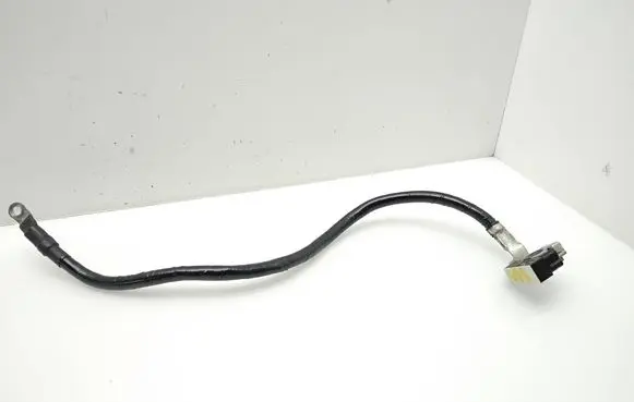 Mercedes-Benz CLA C117 X117 W117 Negative earth cable (battery) A1669056001 ZGS006