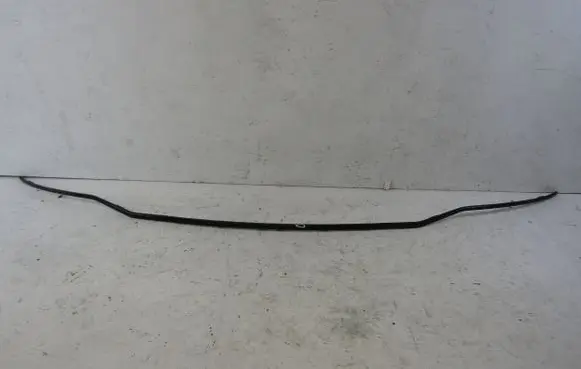 Rear bumper trim bar molding