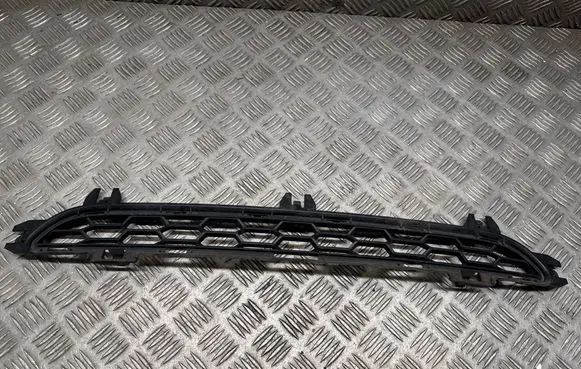 BMW X3 F25 Front bumper lower grill 8048096