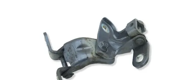 Hyundai Ioniq Rear door hinge set 