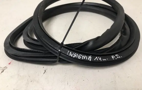 Opel Insignia A Front door rubber seal