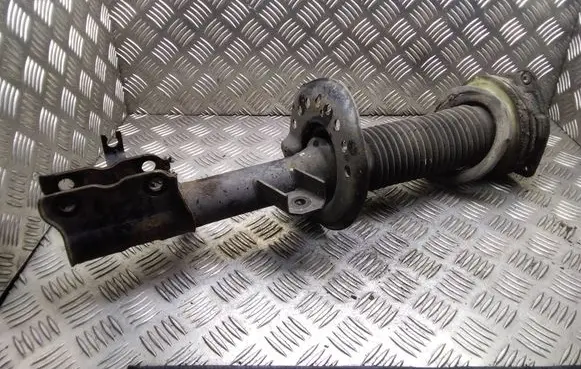Nissan Qashqai Front shock absorber/damper 824903007721 54303BR00B