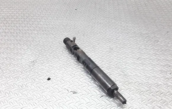 Renault Megane II Fuel injector EJBR05102D