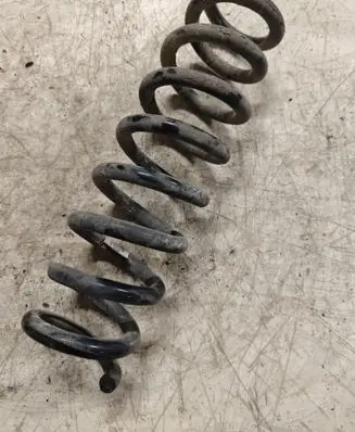 Rear coil spring