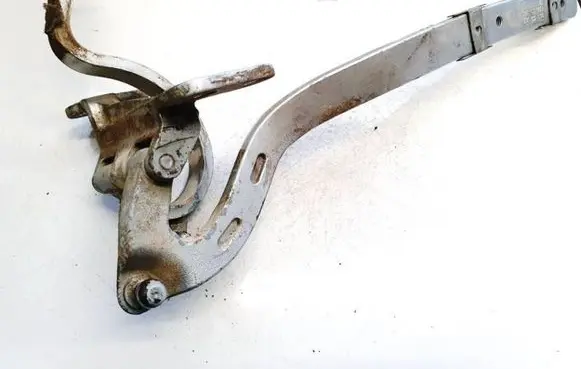 Tailgate/trunk/boot hinge
