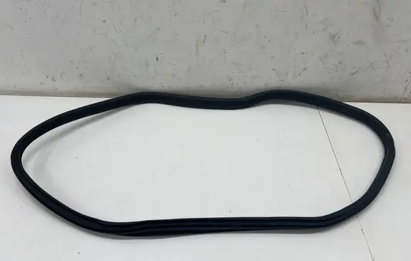 BMW i4 Rear door rubber seal (on body) 7482947