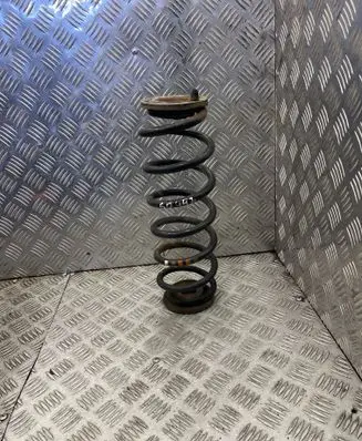 Rear coil spring