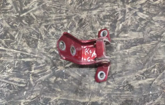 Mazda CX-9 Rear door lower hinge