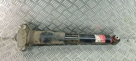 Audi Q4 e-tron Rear shock absorber/damper 1EA512013AK