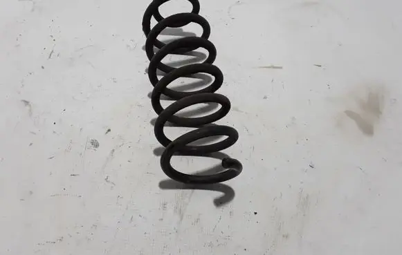 Nissan Qashqai Rear coil spring 550204EA0B