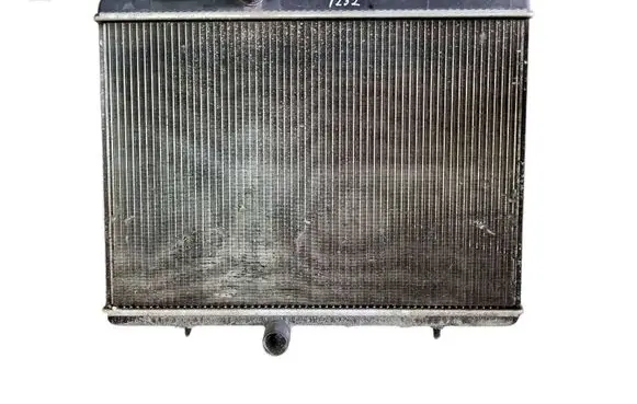 Citroen Berlingo Coolant radiator 9674089680 RM2047 M149382