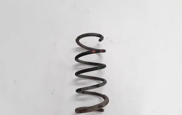 Dacia Lodgy Front coil spring 540100593R