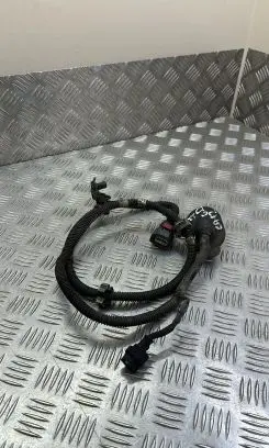 Renault Megane IV Rear door wiring loom 242101836R