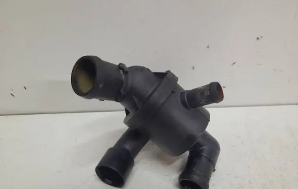 Thermostat/thermostat housing